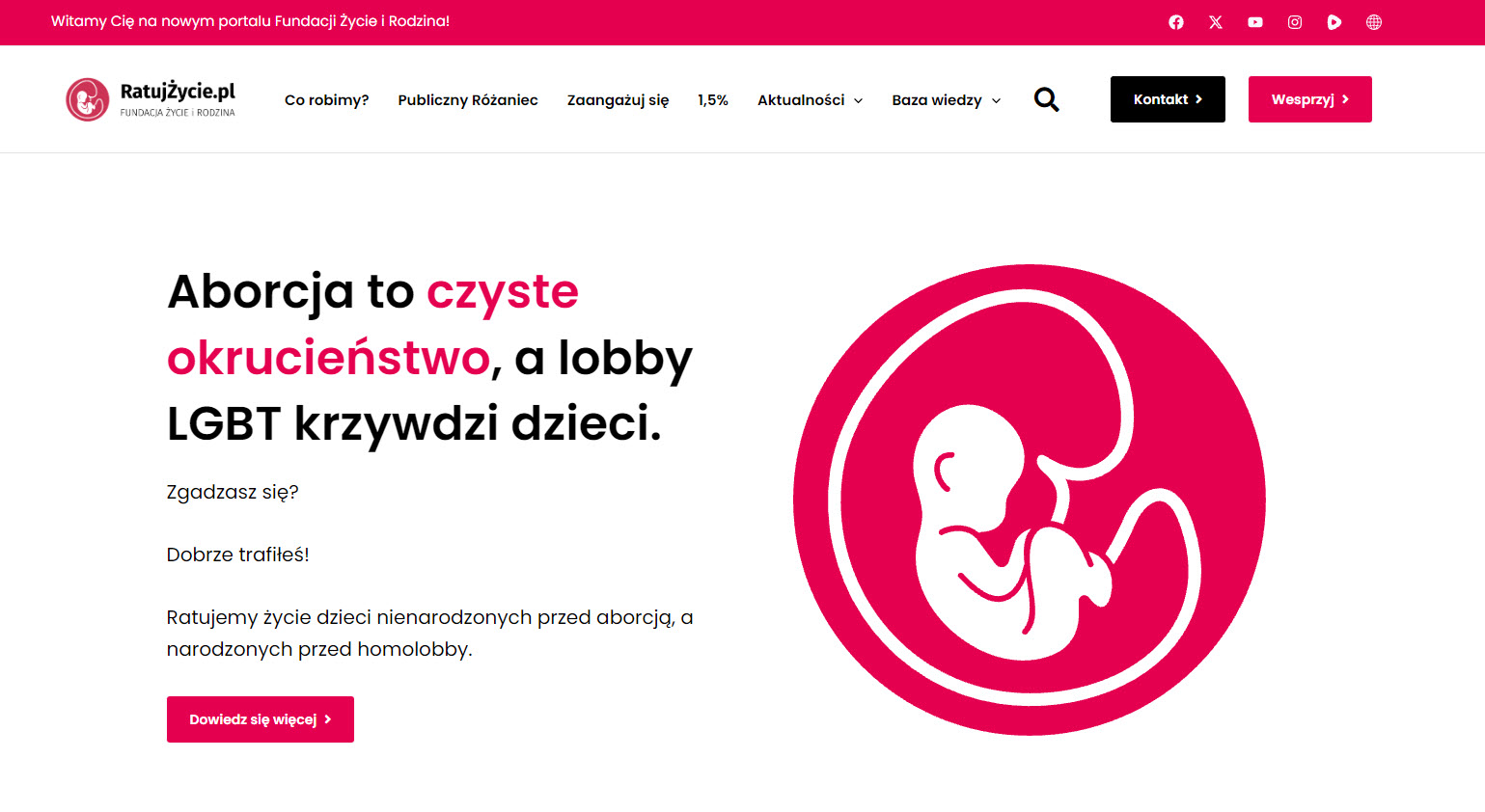 Fundacja pro life a inne organizacje pomocowe - czym się różnią i kiedy warto się zgłosić?