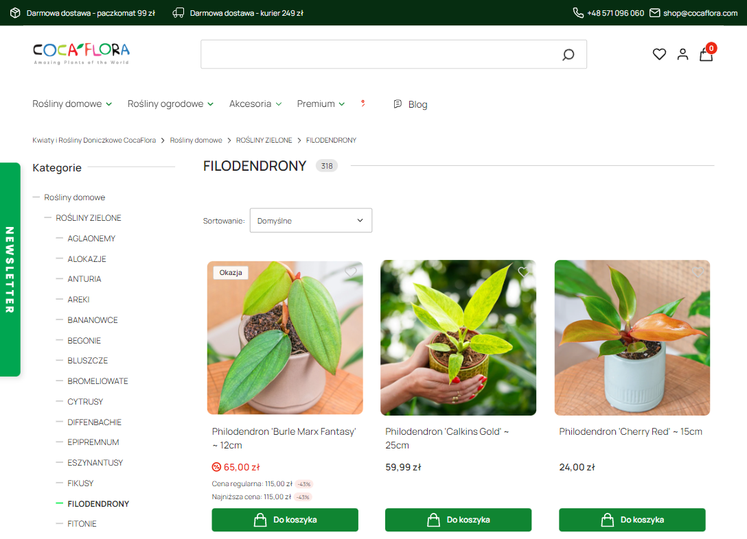 Dlaczego filodendrony żółkną, tracą liście lub przestają rosnąć?